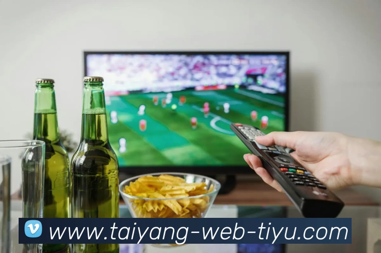 多媒体互动体验