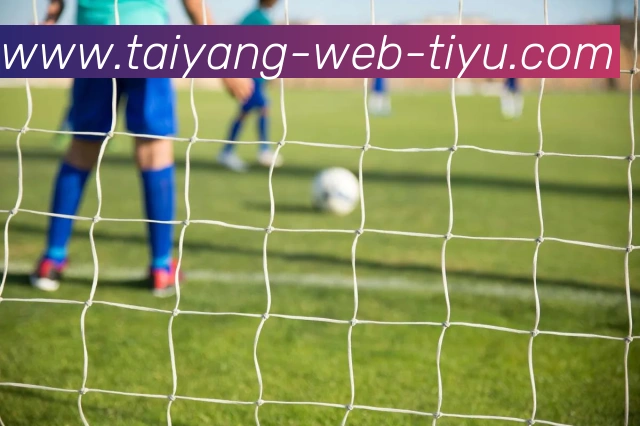 太阳城APP 体育赛事宣传图